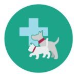 โรงพยาบาลสัตว์ บางใหญ่