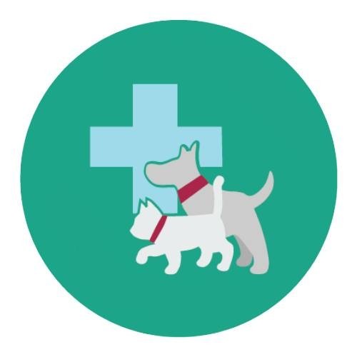 โรงพยาบาลสัตว์ บางใหญ่